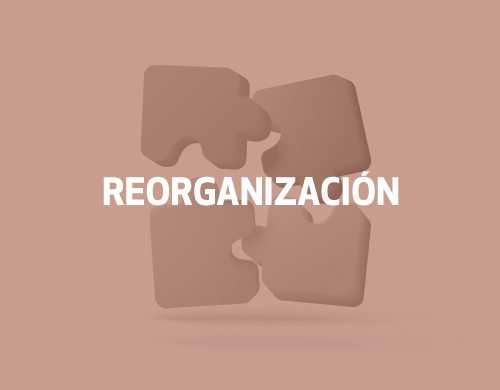 reorganizacion