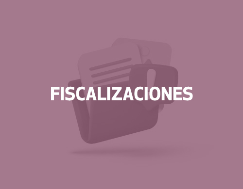 fiscalizaciones