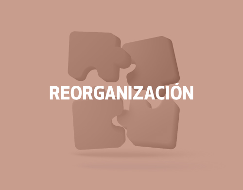 Reorganización