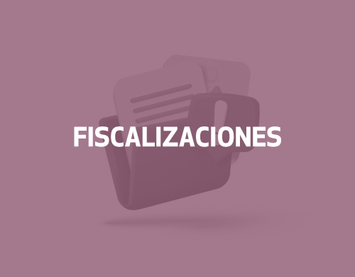 Fiscalizaciones